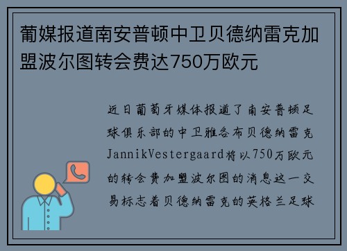 葡媒报道南安普顿中卫贝德纳雷克加盟波尔图转会费达750万欧元